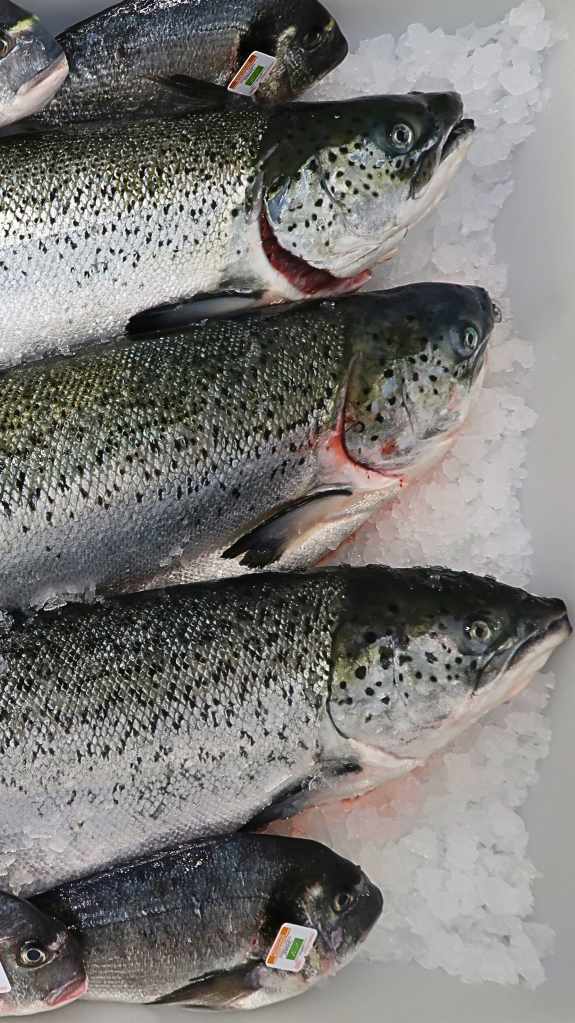 alt="poisson bio grignan"